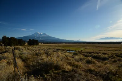 DSC_3008 (Large).JPG